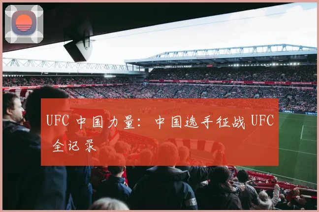 UFC 中国力量:中国选手征战 UFC 全记录
